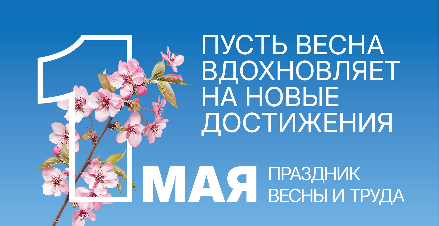 1may